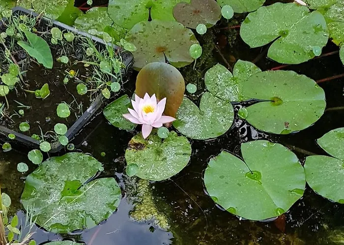With Panoramic Sea Views Villa Benidorm