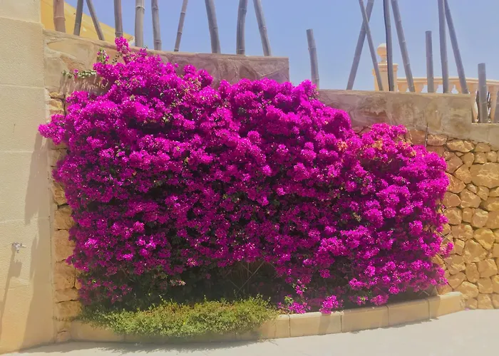 Villa With Panoramic Sea Views