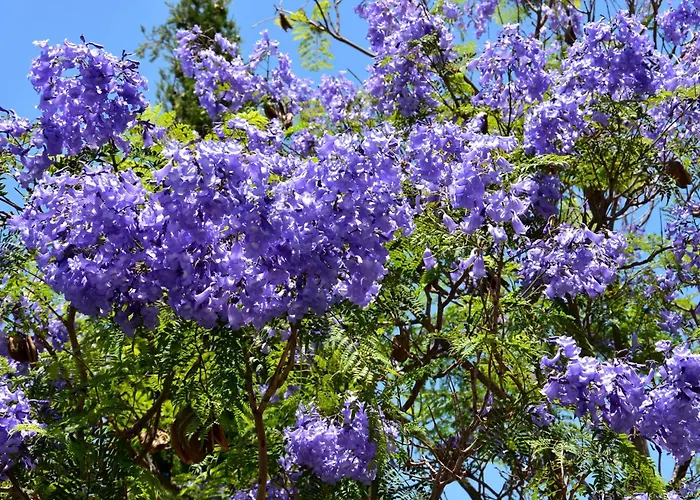 With Panoramic Sea Views Villa