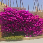 וילה With Panoramic Sea Views