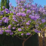 With Panoramic Sea Views בנידורם