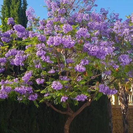 With Panoramic Sea Views Villa *