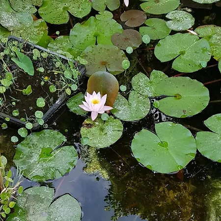 With Panoramic Sea Views Villa Benidorm