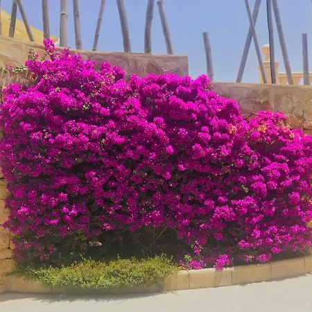 Villa With Panoramic Sea Views