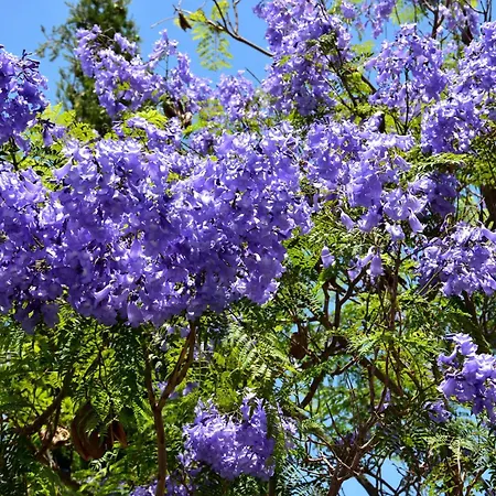 With Panoramic Sea Views Villa