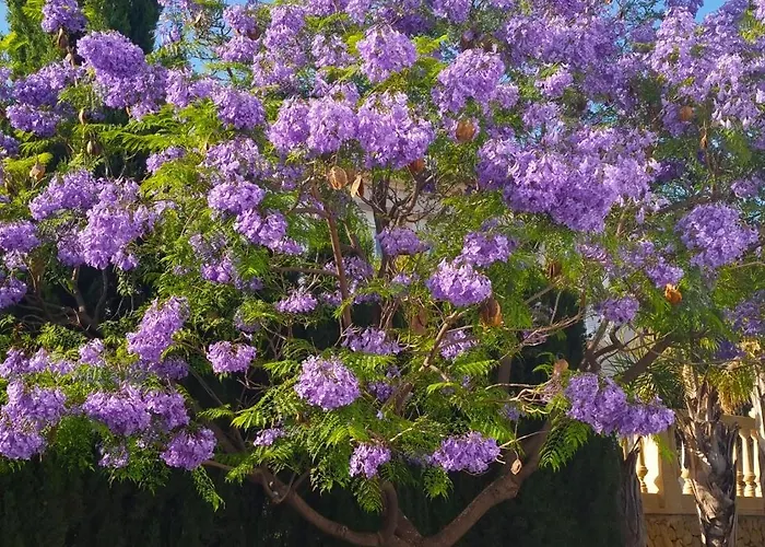 With Panoramic Sea Views Villa *